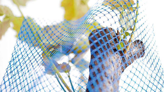 Protection Nets for Trees & Grape Wines