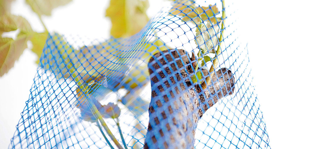 Protection Nets for Trees and Grape Wines