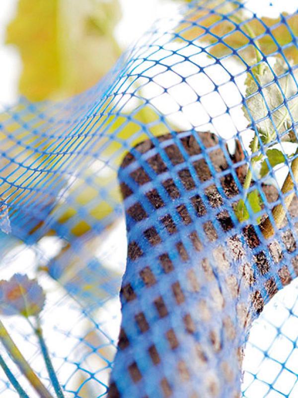 Protection Nets for Trees and Grape Wines